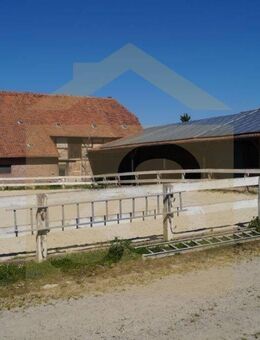 Reiterhof mit Innenstallungen, Reitplatz und ertragreicher PV-Anlage! Mein Haus = mein Makler! - Remlingen (Niedersachsen)