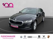 Skoda Octavia, 2.0 TDI Combi Style, Jahr 2023 - Euskirchen