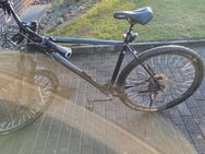 Mountainbike - Steinhagen (Nordrhein-Westfalen)