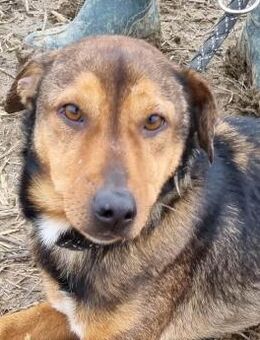 Ethan, pure Lebensfreude - Itzehoe