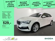 Skoda Scala, 1.5 TSI Tour APPCON, Jahr 2023 - Memmingen