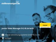 Junior Sales Manager B-2-B (m/w/d) - Korbach (Hansestadt)