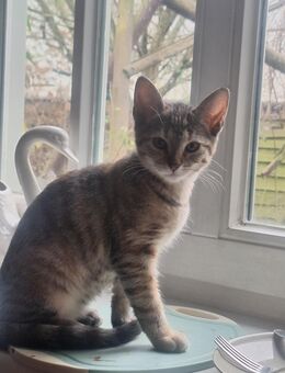 Wir dürfen und müssen ausziehen. - Melbeck