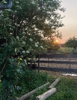 Romantisches kleines Bauernhaus in Ortsrandlage. Nähe Kaufbeuren - Kaufbeuren