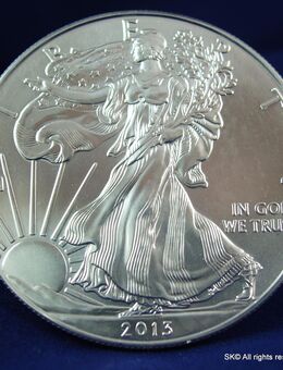 American Eagle Liberty 2013 Silbermünze - Leverkusen