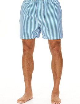CRUZ Badeshorts Kenny (1-St) in zeitlosem Streifenmuster