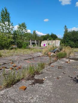 Rasenpflege | Laub Entsorgen | Vertikutieren - Berlin