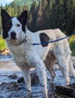 Solon will endlich ankommen! - München