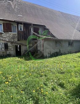 Abbruchreifes Haus in Haigerloch - Haigerloch