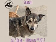 Shanti - Rotenburg (Fulda)