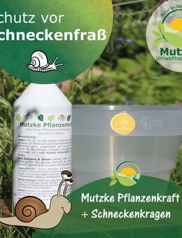 🐌 Der Schneckenkragen - aus der Region, für die Region 💯 - Hankensbüttel