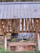 Massive Heuraufe aus Echtholz – für Wild, Rinder oder Pferde – mit Futterschale in 67691