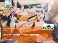 Verkäufer Blumen & Pflanzen (m/w/d) - Weiterstadt