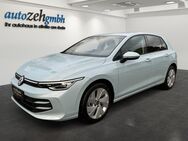 VW Golf, 1.5 TSi Life, Jahr 2024 - Eltville (Rhein)