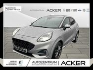 Ford Puma, 1.0 Hybrid ST-Line X iACC, Jahr 2022 - Bad Berleburg