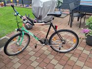 gebrauchtes Herren MTB von Nishiki - Dinslaken