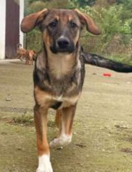 Ella möchte endlich ihre Menschen finden - München