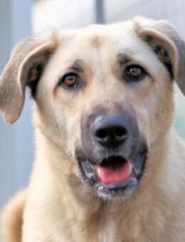 PALLINA - allein, mitten in der Stadt - Regensburg