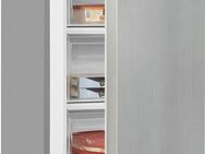 exquisit Gefrierschrank GS81-040C inoxlook, 85,5 cm hoch, 54,5 cm breit, energiesparend in Energieefizienz C, 87 Liter Nutzinhalt, 4 Sterne