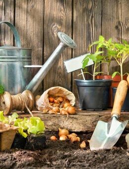 22 Jähriger Sucht Gartenarbeit Für Taschengeld Zwischen (15-25 Euro) In Gommern - Gommern