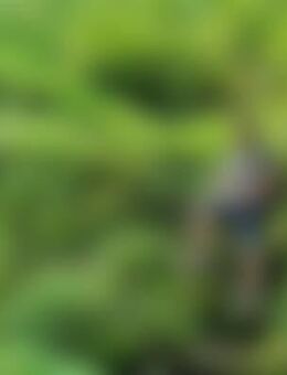 Bjö*** - Boxberg (Baden-Württemberg)