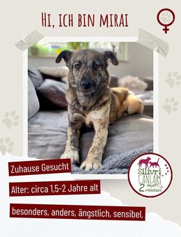 Miras - von der Müllhalde ins Leben - Nürtingen Zentrum