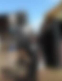 VN1*** - Goldenstedt