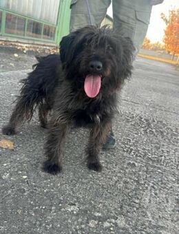 Emi möchte entdeckt werden - Nordwalde