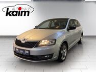 Skoda Rapid, Ambition, Jahr 2014 - Leck