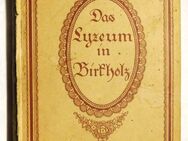 Das Lyzeum in Birkholz . antik Buch von Felicitas Rose .1918 - Sieversdorf-Hohenofen