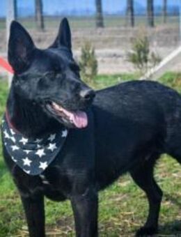 Aliz möchte endlich entdeckt werden - Nordwalde