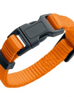 HUNTER Halsband London, orange - Vario Basic Größe S: 24 - 36 cm Halsumfang, 10 mm breit