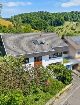 Wohnen auf Augenhöhe mit dem Horizont - Heppenheim (Bergstraße)