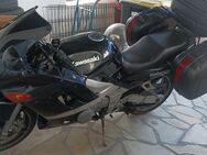 Kawasaki ZX 600 E - Königswinter