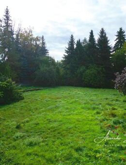 Viel Platz für Ihre Ideen - Einfamilienhaus mit Nebengelass und Gartenidylle - Wanzleben-Börde