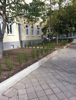 ATLAS IMMOBILIEN: Schöne Altbauwohnung mit Balkon und EBK - Erfurt