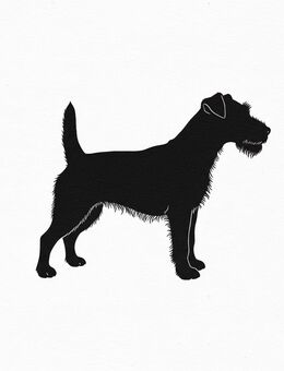 Suche Welpe: Terrier Mix / Mischling Parson Russell / Jack Russell / Fox Terrier / Tibet Terrier etc. - Hamm