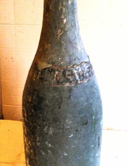 Sektflasche, 1 Meter, Werbeartikel aus Pappmaché, um 1920 - Dresden
