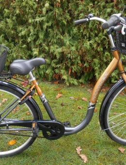 Unbenutztes 28 Zoll Damen-Tiefeneinsteiger - Müden (Aller)