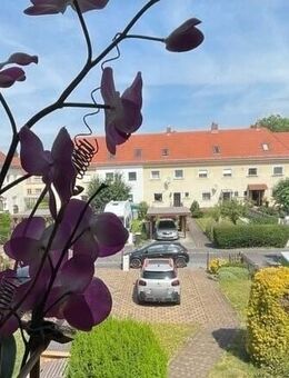 Ruhiges Siedlungshaus mit Potential - Dresden