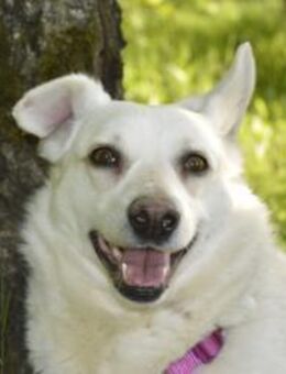 Schönheit Caprice❤️sucht ihre Familie - Rott (Inn)