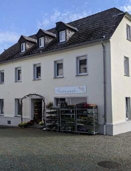 neu sanierte Wohnung mit schönem Ausblick zu vermieten - Mehring (Rheinland-Pfalz)