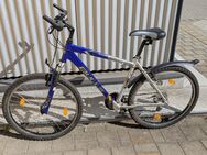 Bulls Fahrrad Damen/Kinder - Chemnitz
