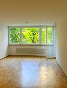 SOFORT BEZUGSFERTIG! Helle 3-Zimmer-Wohnung in direkter Mainlage - Offenbach (Main)