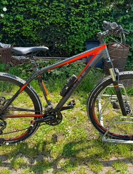 Bulls MTB King Cobra - Salzatal