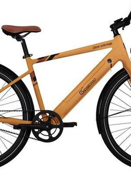 SachsenRad E-Bike Cityrad C3T, 1 Gang Shimano keine Schaltwerk, ohne Schaltung, Heckmotor, 360 Wh