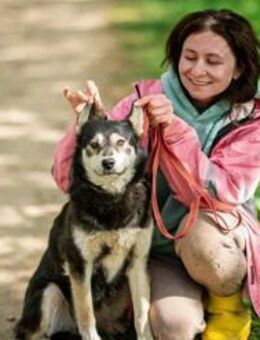 Frohnatur Lina sucht liebevolles Zuhause - Duisburg