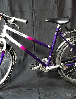 Schönes Mädchen - Damenfahrrad INTERBIKE / 48cm B24/190 - Aarau