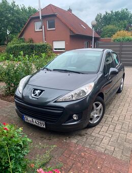 Peugeot 207 - Hatten