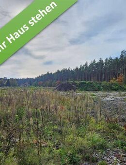 Mit Grundstück, das flexible Massivhaus "FürDich" in Hambühren. - Hambühren